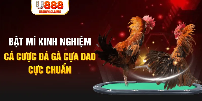 88d gam trong baccarat, ai là người chia bài chính？