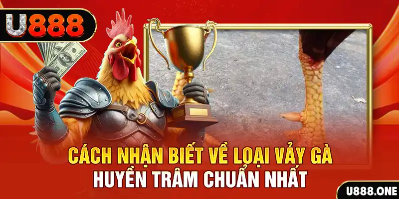 88d gam Chú hề Patty tuổi teen