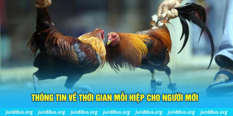 88d gam Long Hổ 2