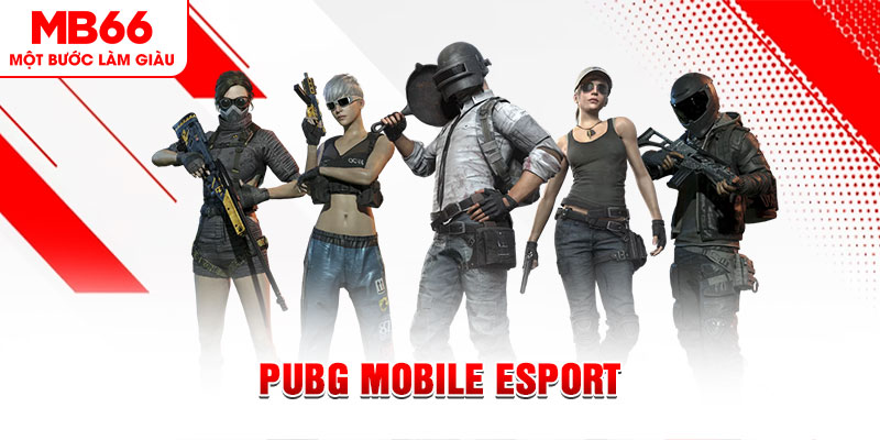 88d gam gà chọi c1 mới nhất