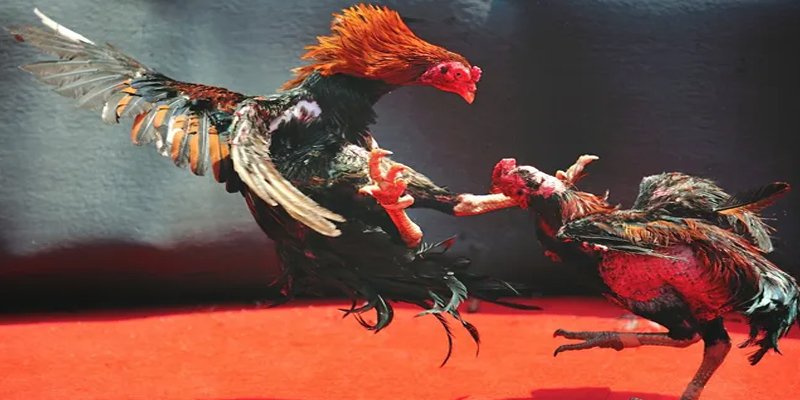 88d gam đăng nhập nổ hũ số 1