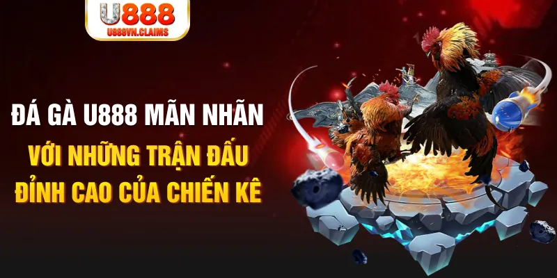 88d gam kết quả xổ số miền bắc ngày hôm nay