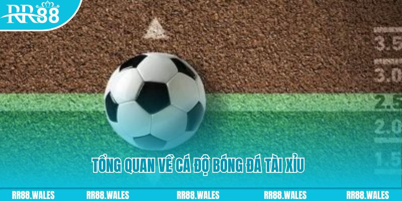 88d gam JDB Điện Tử