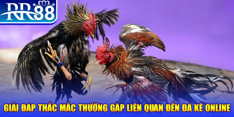 88d gam đăng nhập phỏm tặng tiền