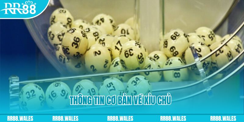 88d gam baccarat long bảo là gì