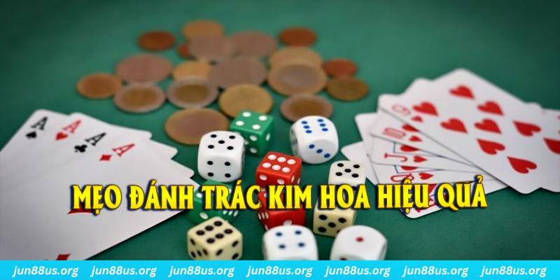 88d gam PP Điện Tử