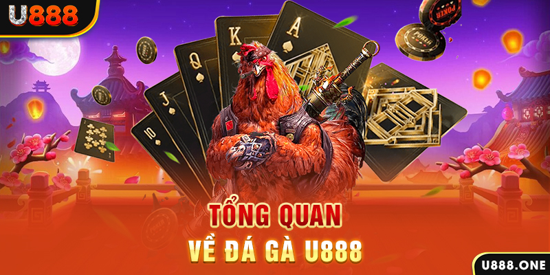 88d gam baccarat có lừa đảo không