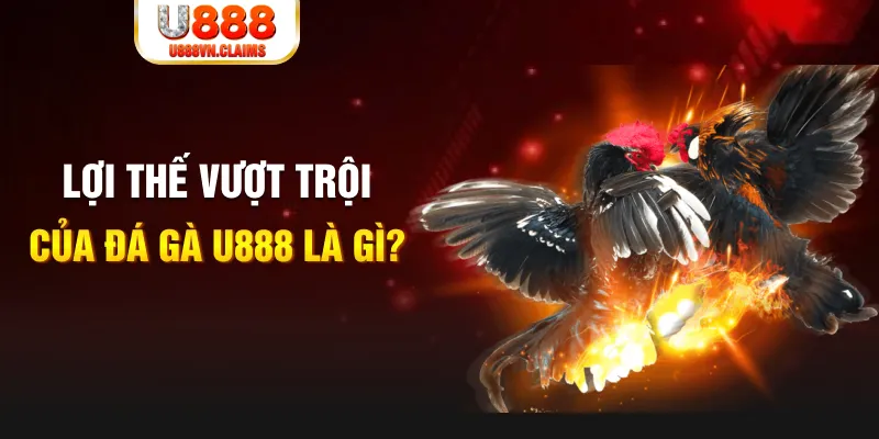 88d gam 888 slot là gì